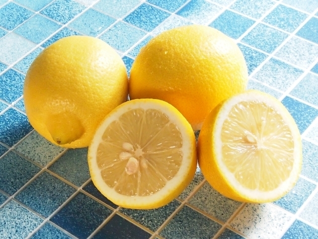 0DD11246-3570-45A9-A1F1-87E8A03E93B1.jpeg