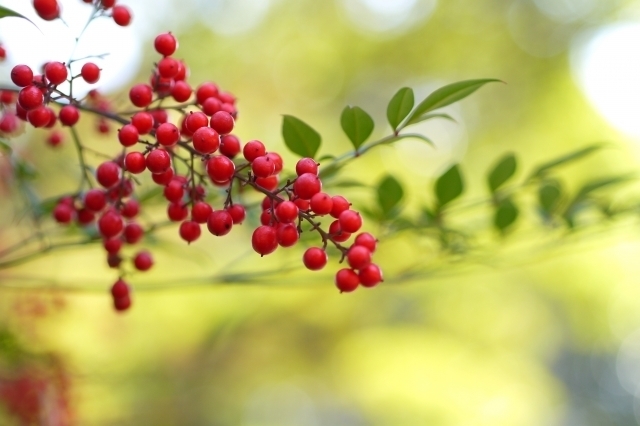 56072A3C-2FC2-4008-902D-D5E1949C46C8.jpeg